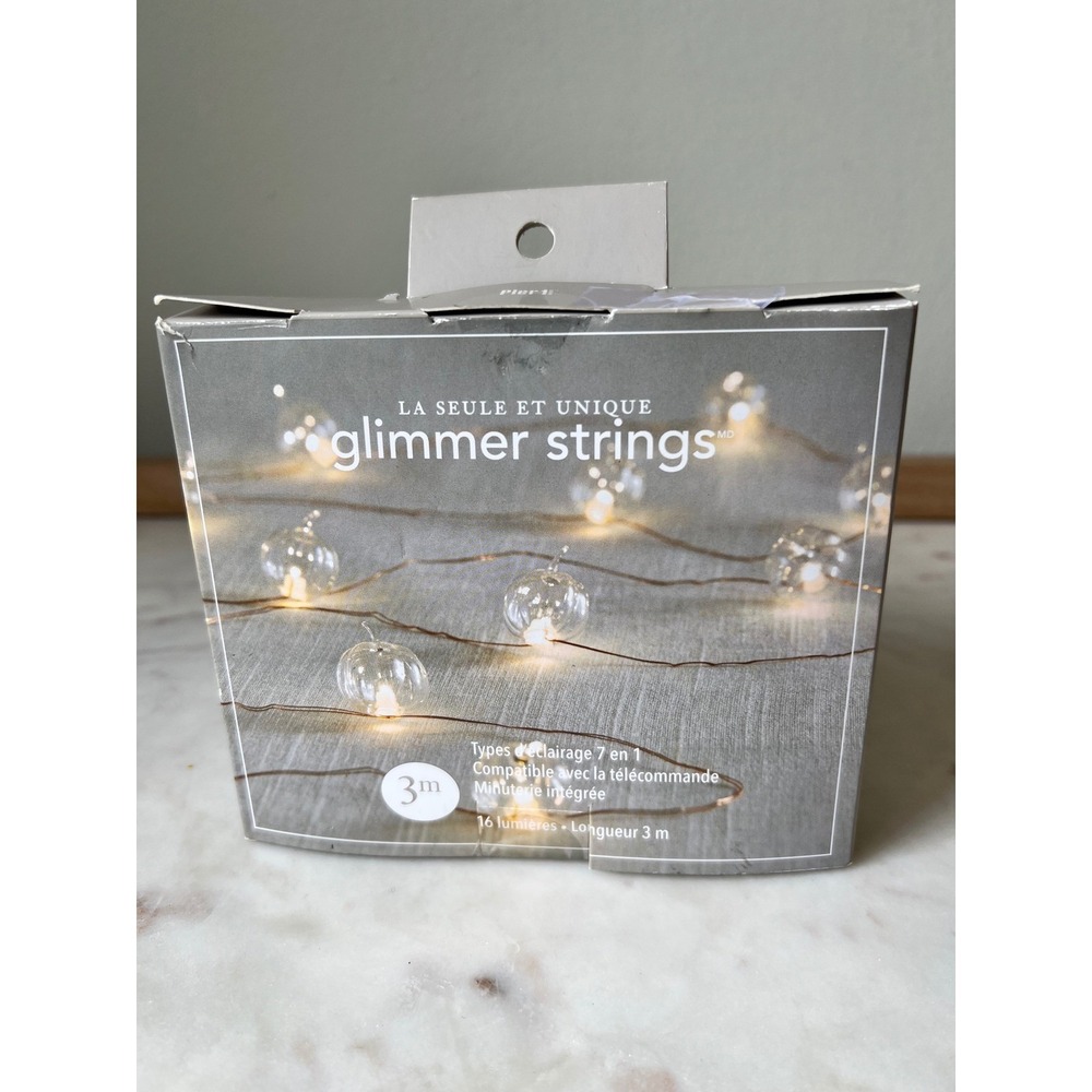 Pier 1 Imports Fall LED Pumpkin Flexible Glimmer String Cottage Fairy Lights